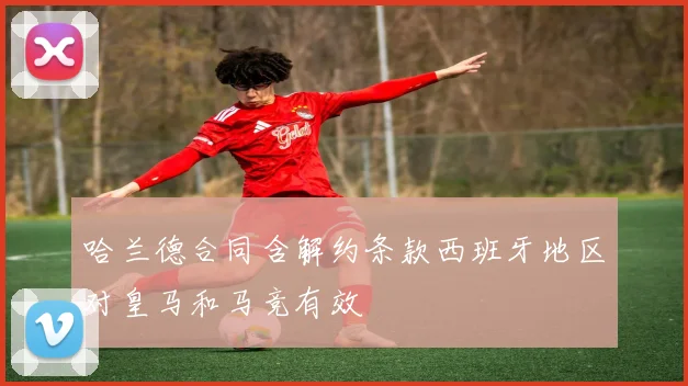 哈兰德合同含解约条款西班牙地区对皇马和马竞有效