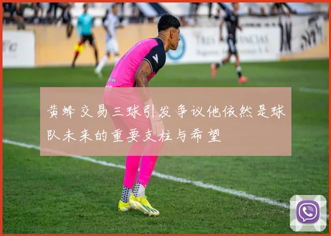 黄蜂交易三球引发争议他依然是球队未来的重要支柱与希望